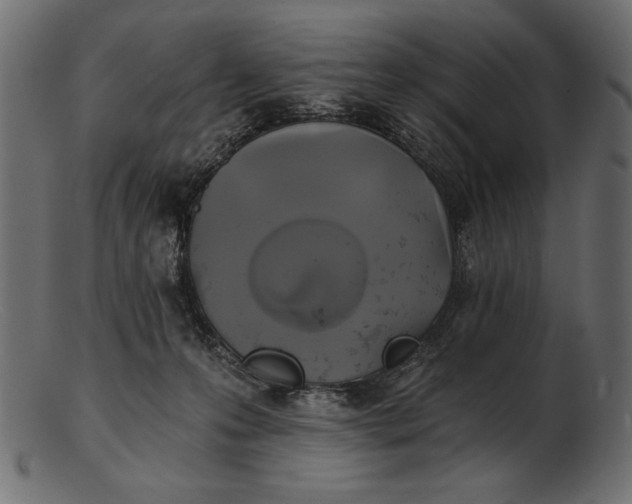 X0000103220223200809111515