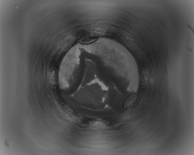 X0000103220224200809111515