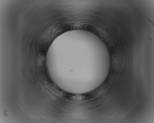 X0000103220225200809111515