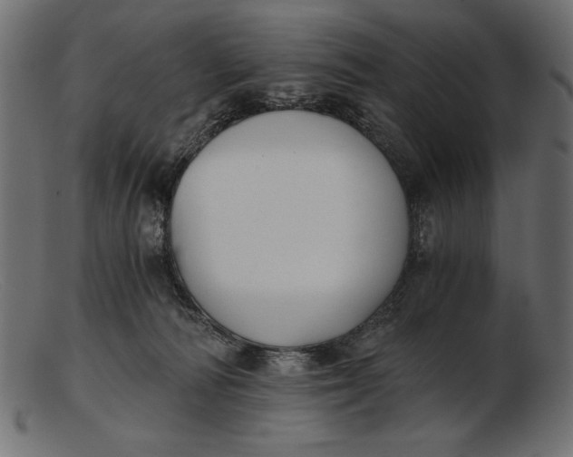 X0000103220226200809111515