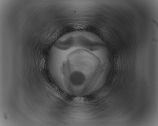 X0000103220227200809111515