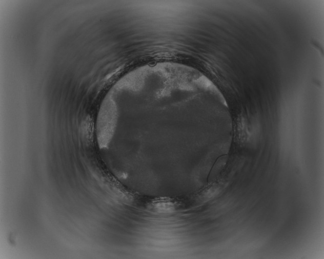 X0000103220228200809111515