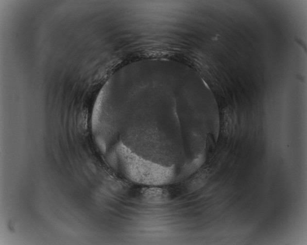 X0000103220230200809111515