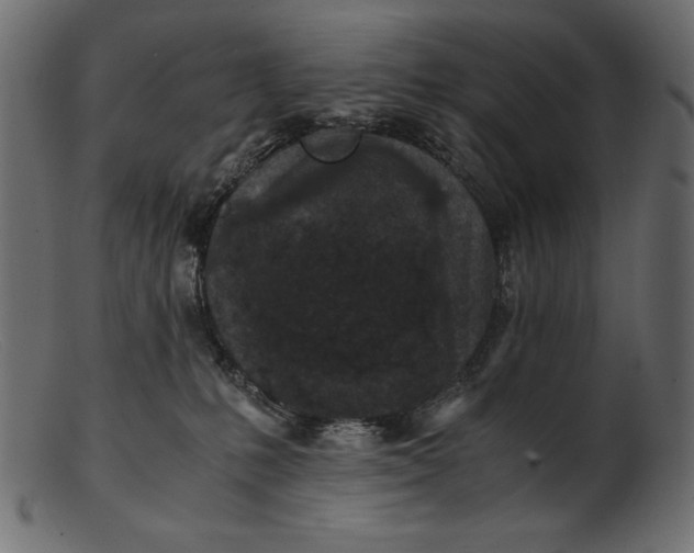 X0000103220231200809111515