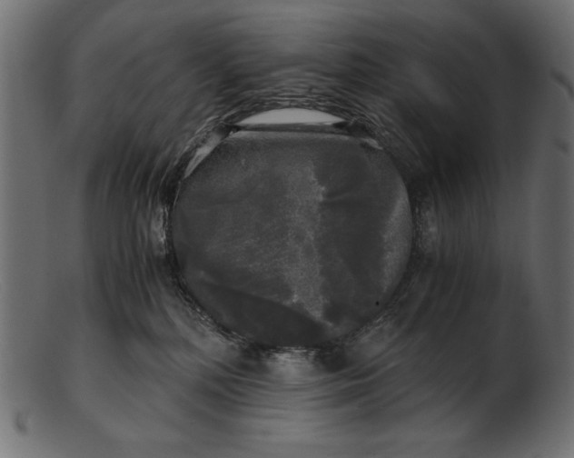 X0000103220232200809111515