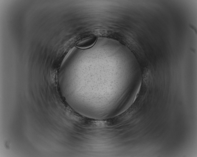 X0000103220233200809111515