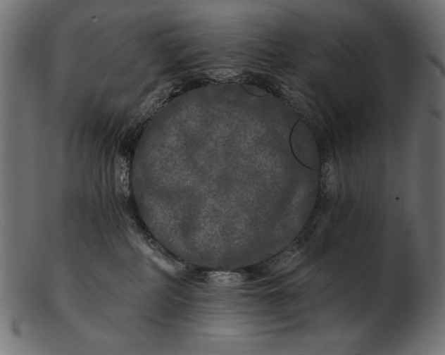 X0000103220234200809111515