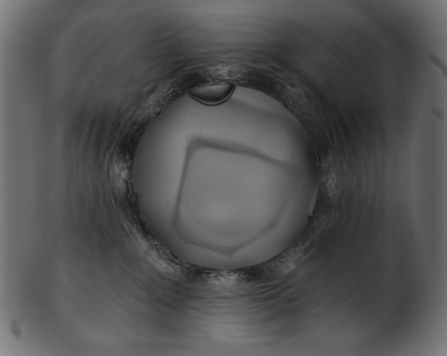 X0000103220235200809111515