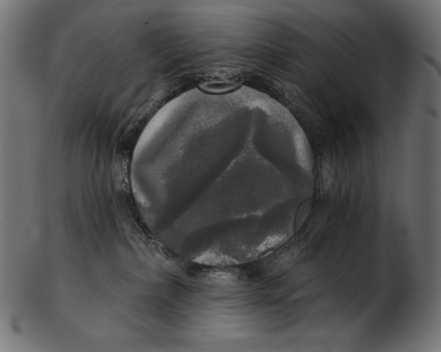 X0000103220236200809111515