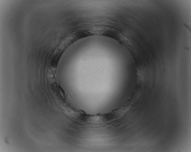 X0000103220237200809111515