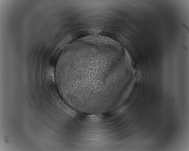 X0000103220238200809111515