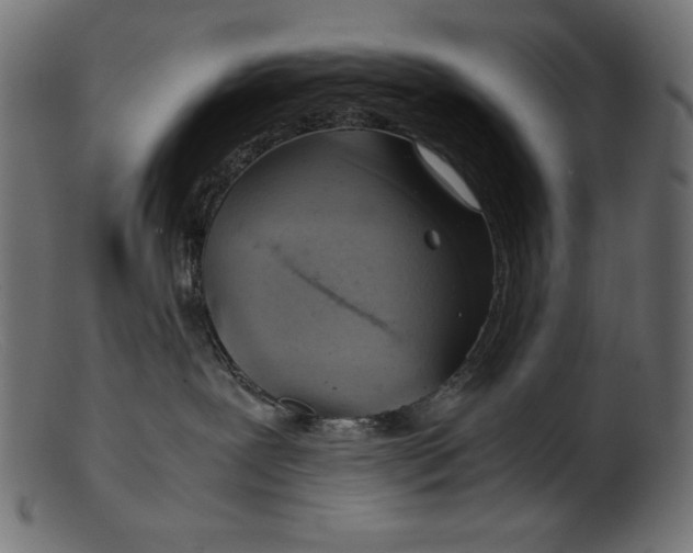 X0000103220239200809111515