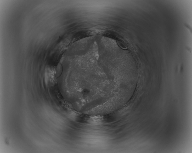 X0000103220240200809111514