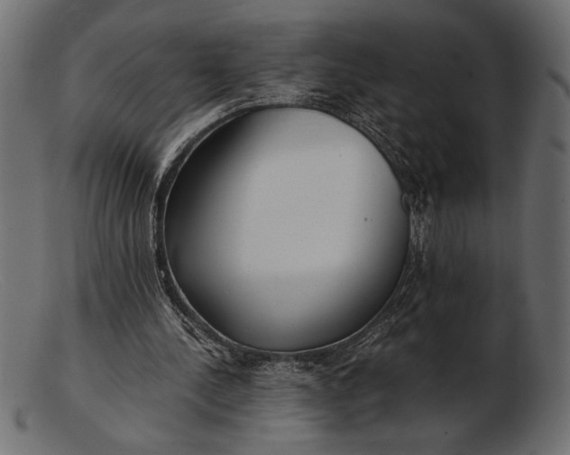 X0000103220244200809111514