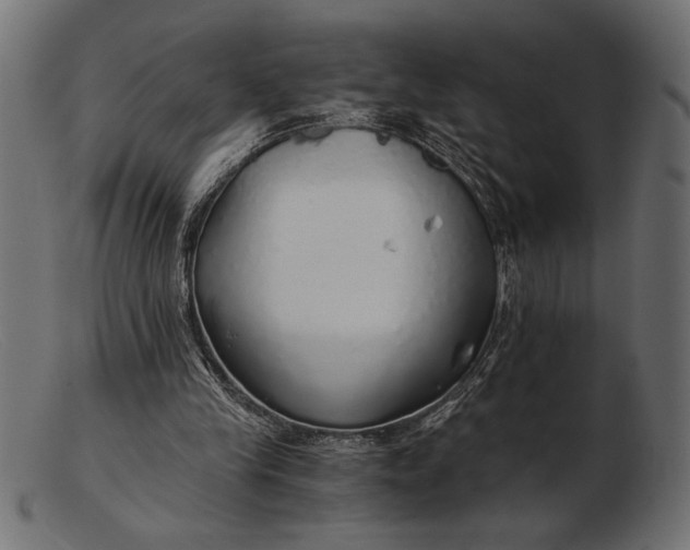 X0000103220245200809111514