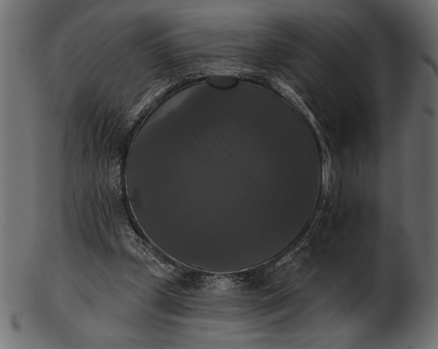 X0000103220249200809111514