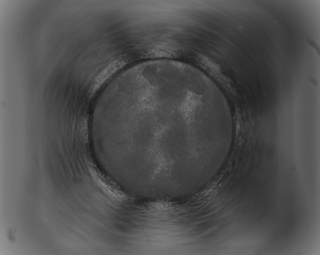 X0000103220250200809111514