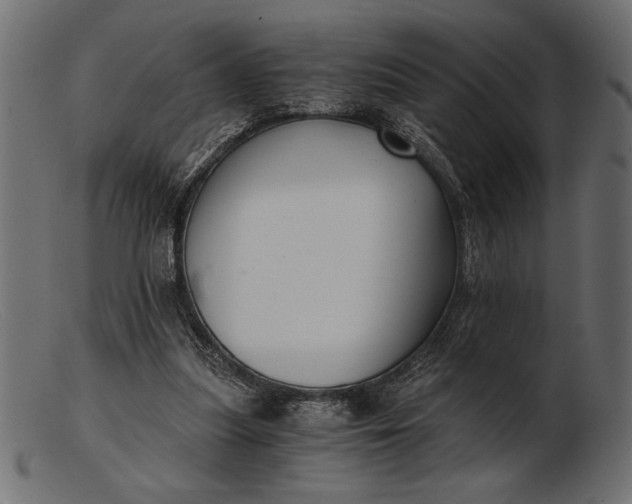 X0000103220251200809111514