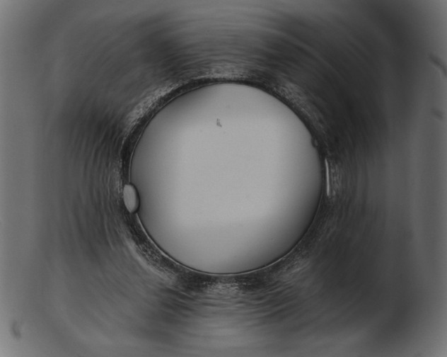 X0000103220252200809111514