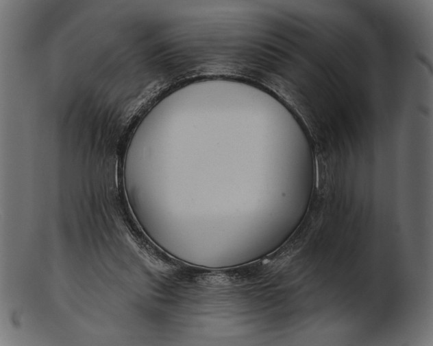 X0000103220253200809111514