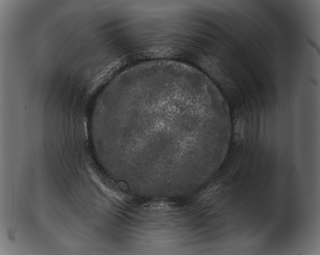 X0000103220254200809111514