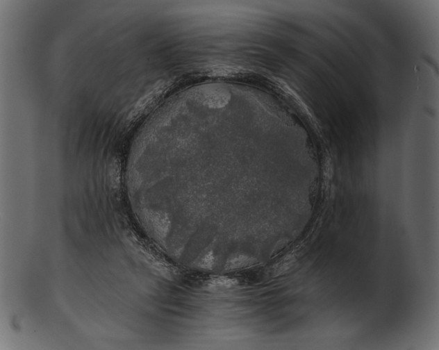 X0000103220257200809111514