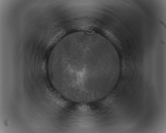 X0000103220258200809111514