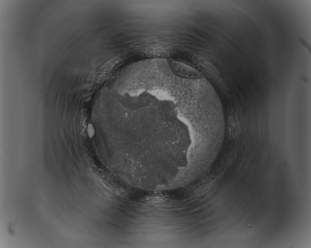 X0000103220259200809111514