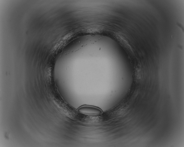 X0000103220260200809111514