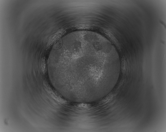 X0000103220261200809111514