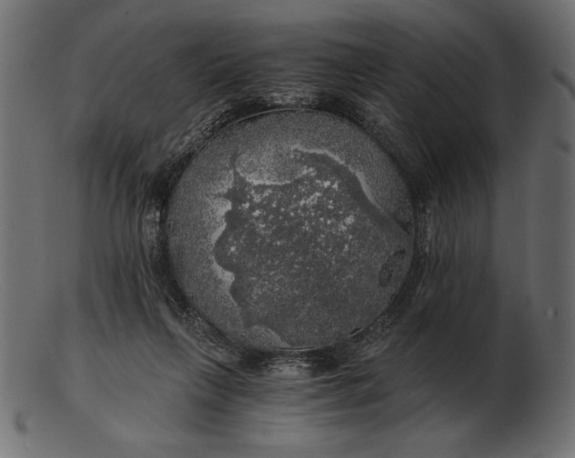 X0000103220263200809111514