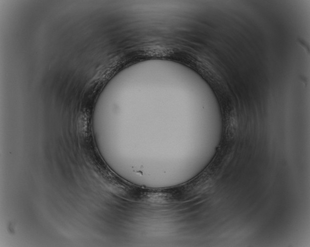 X0000103220268200809111514