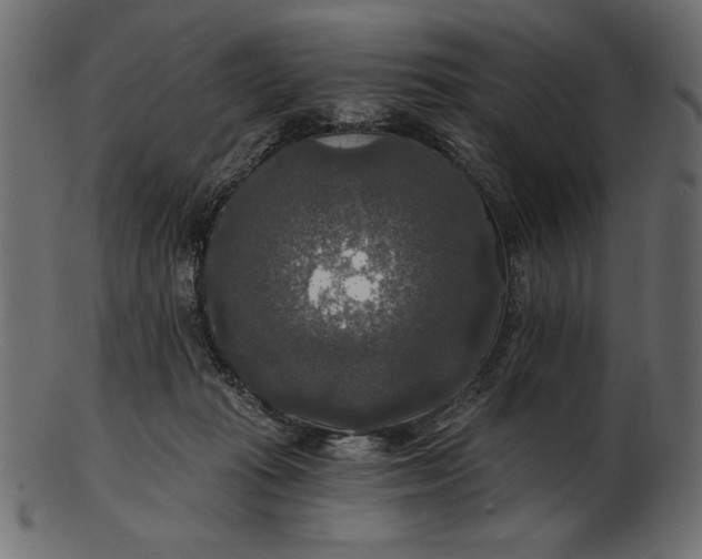 X0000103220269200809111514