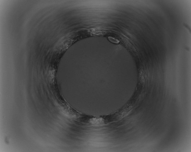 X0000103220271200809111514