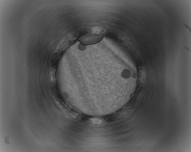 X0000103220272200809111514