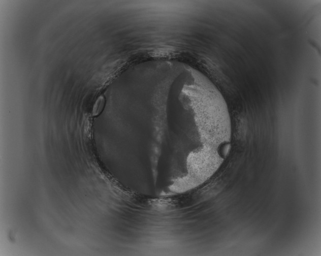 X0000103220273200809111514