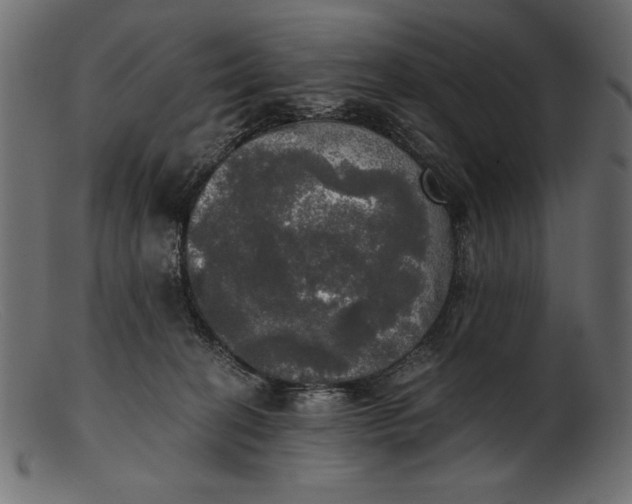 X0000103220274200809111514