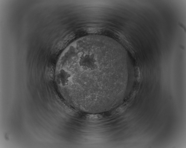 X0000103220277200809111514