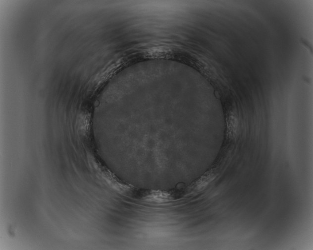 X0000103220278200809111514