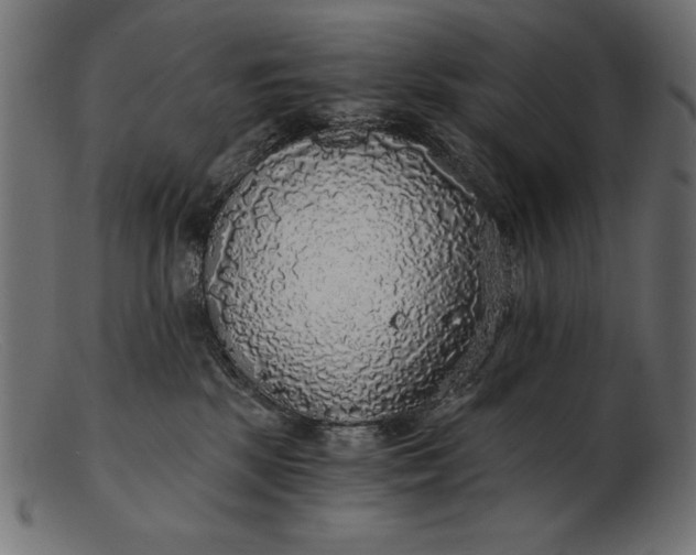 X0000103220281200809111514