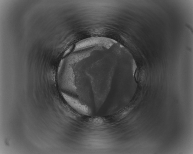 X0000103220282200809111514