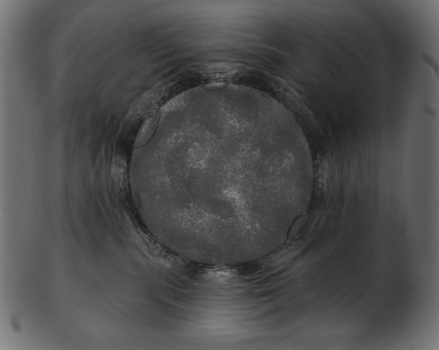 X0000103220283200809111514