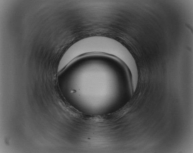 X0000103220284200809111514