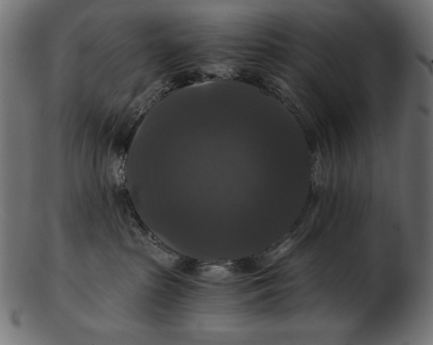 X0000103220285200809111514