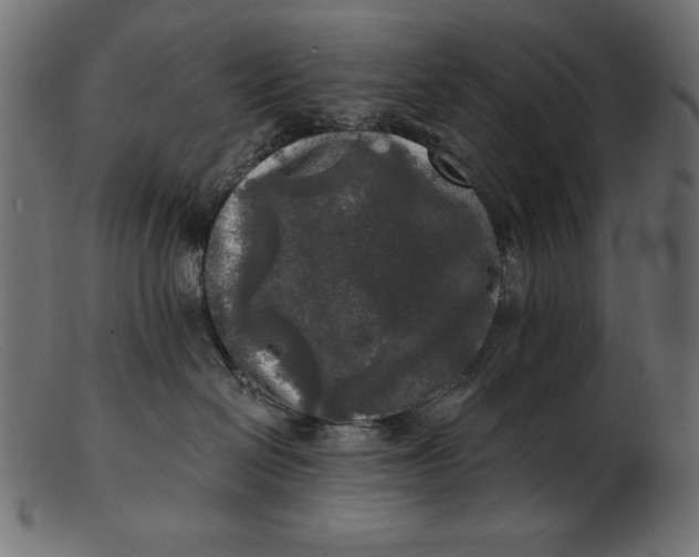 X0000103220286200809111514