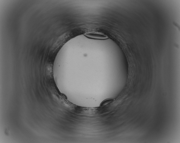 X0000103220288200809111514