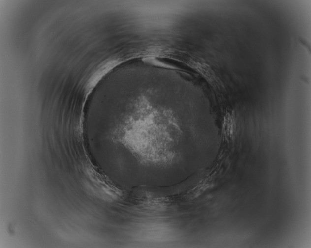 X0000103220292200809111514