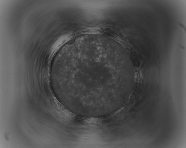 X0000103220293200809111514