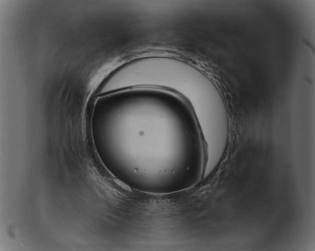 X0000103220296200809111514