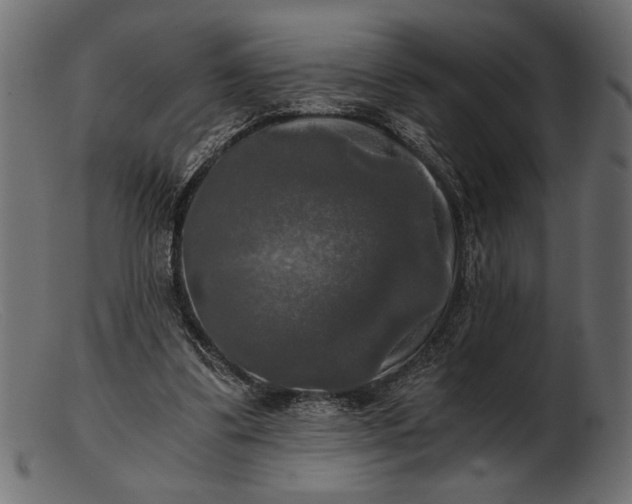 X0000103220299200809111514